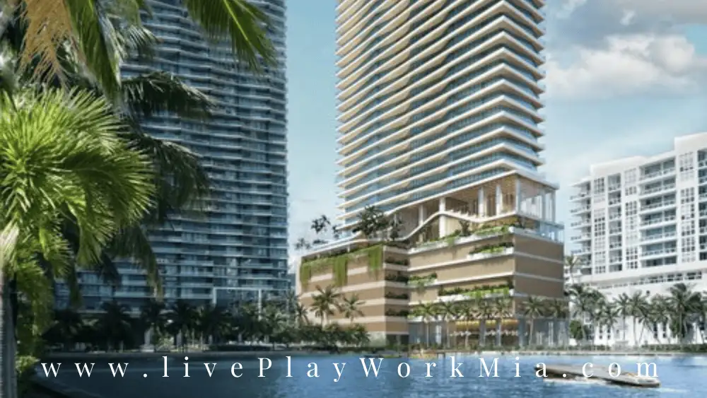 COVE-MIAMI_Hero.original.webp